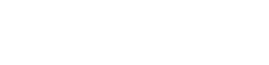 chippewa valley music festivals logo